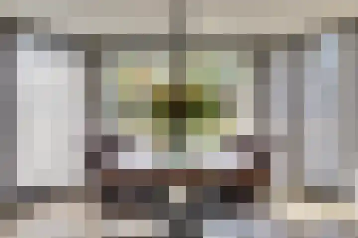 Kievitlaan 7 Nieuwerkerk thumbnail 5