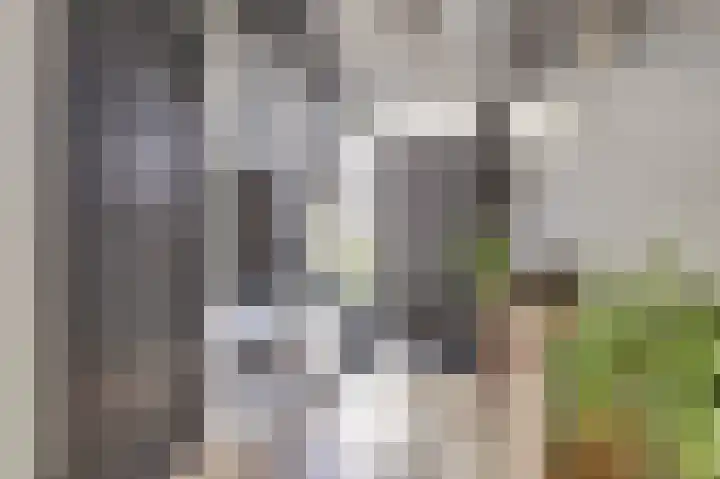 Kievitlaan 7 Nieuwerkerk thumbnail 6