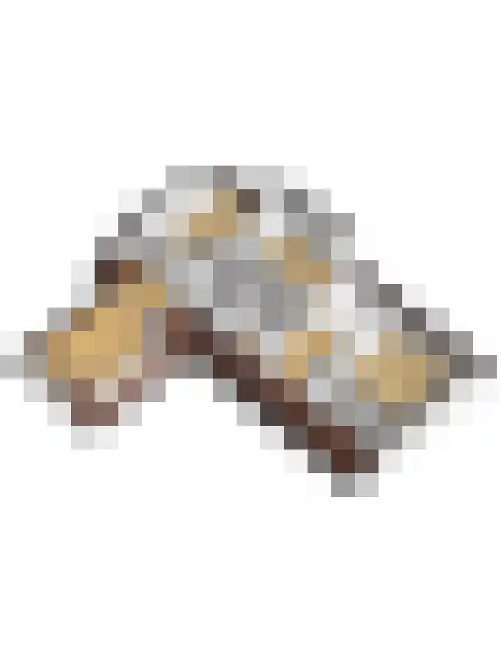 Kievitlaan 7 Nieuwerkerk thumbnail 61