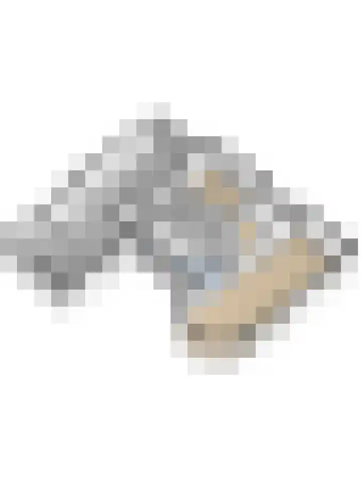 Kievitlaan 7 Nieuwerkerk thumbnail 62