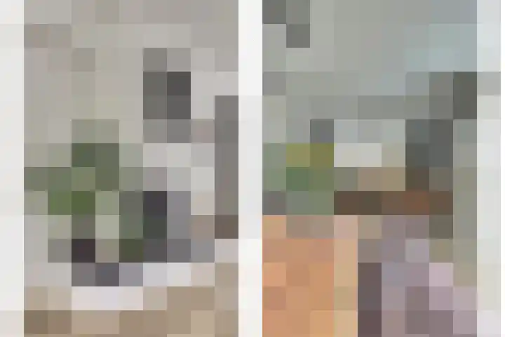 Kievitlaan 7 Nieuwerkerk thumbnail 8