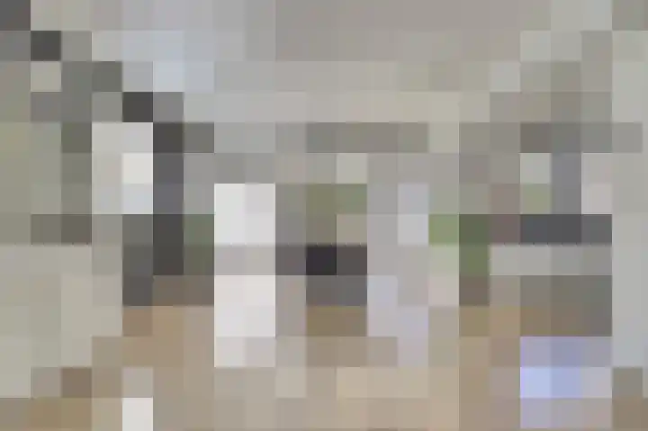 Kievitlaan 7 Nieuwerkerk thumbnail 9