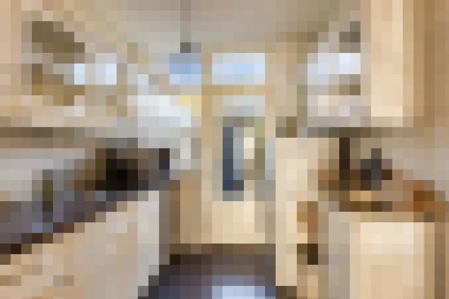 Kievitlaan 8 Sliedrecht thumbnail 10