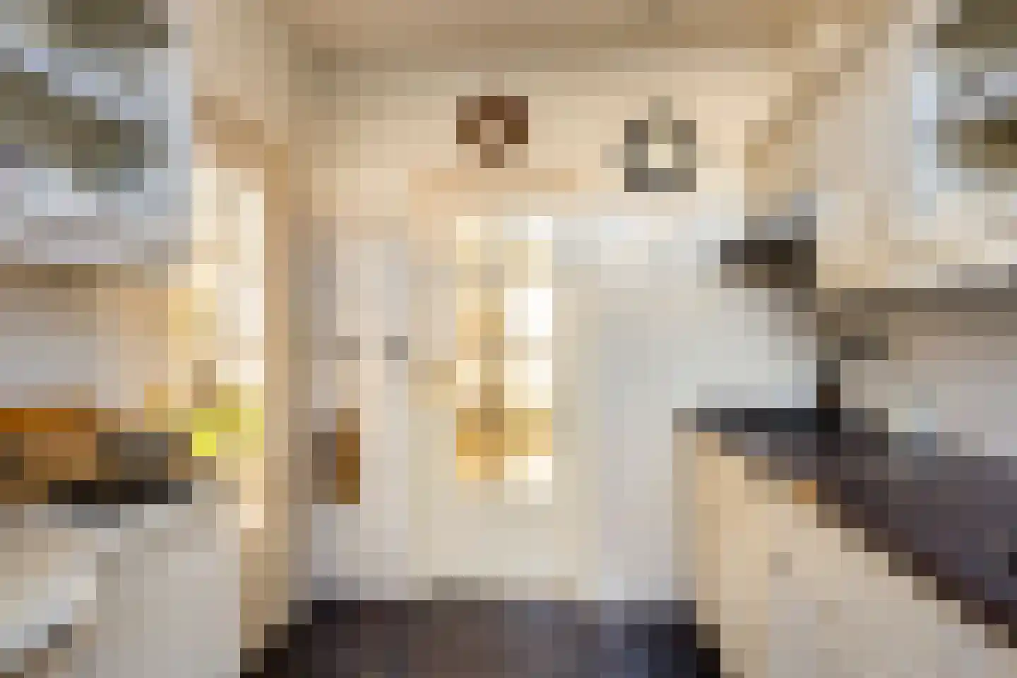 Kievitlaan 8 Sliedrecht thumbnail 11