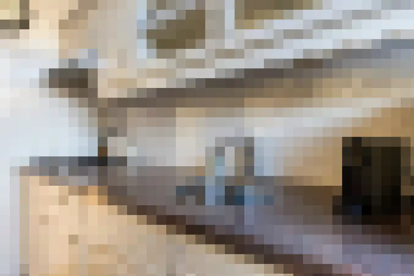 Kievitlaan 8 Sliedrecht thumbnail 12