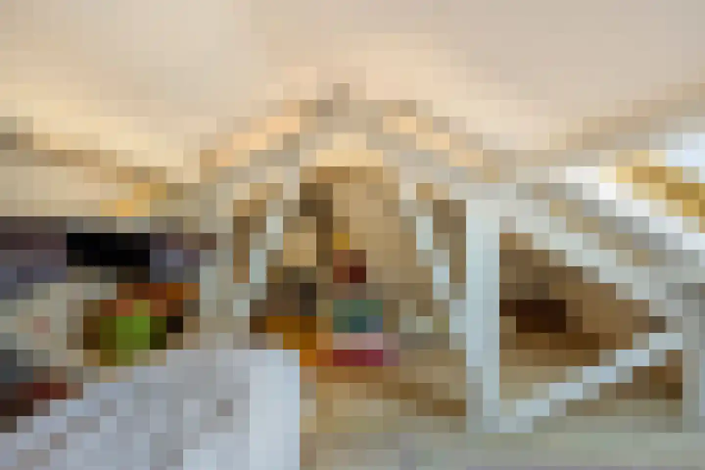 Kievitlaan 8 Sliedrecht thumbnail 22