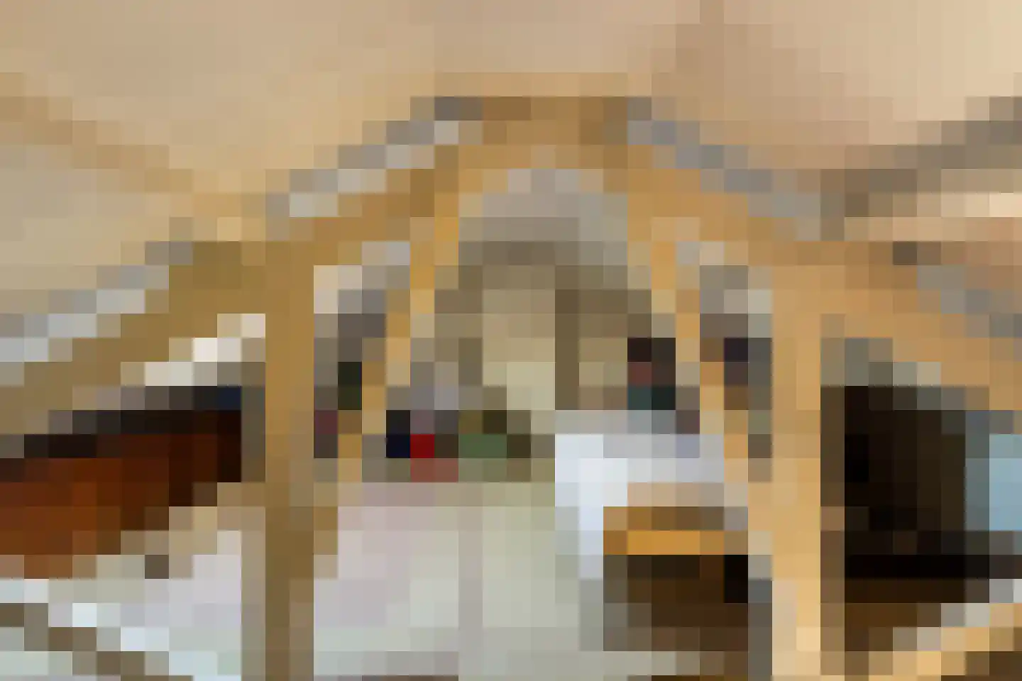 Kievitlaan 8 Sliedrecht thumbnail 23