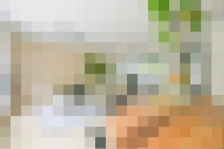 Kievitlaan 81 Schagen thumbnail 10