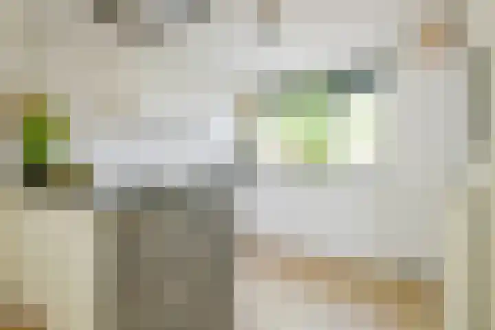 Kievitlaan 81 Schagen thumbnail 12