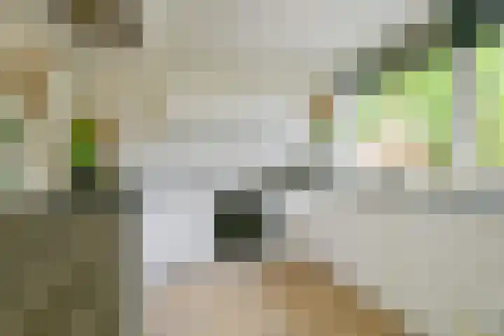 Kievitlaan 81 Schagen thumbnail 13