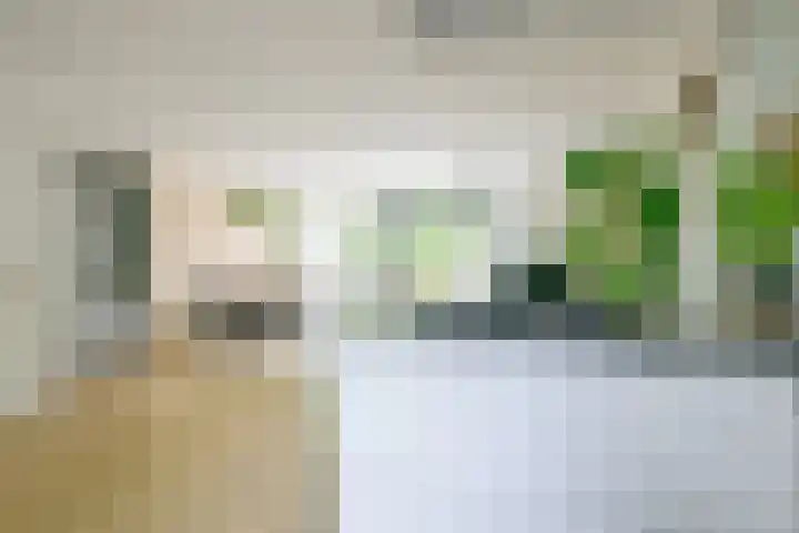Kievitlaan 81 Schagen thumbnail 14