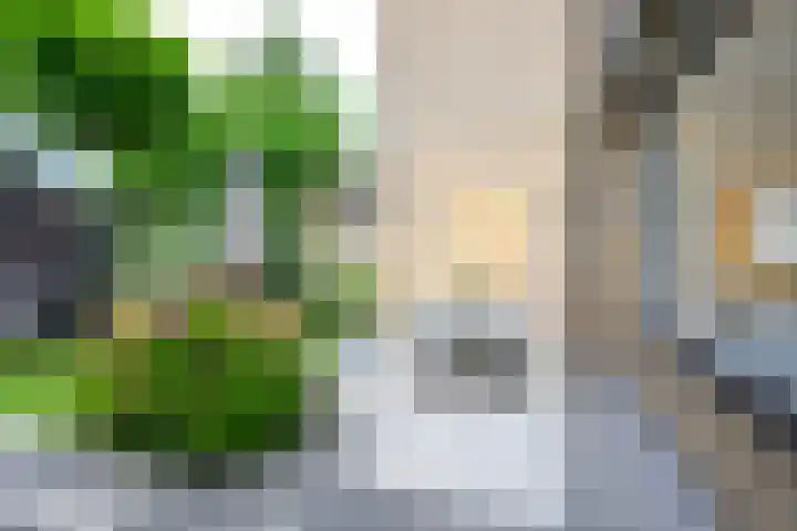 Kievitlaan 81 Schagen thumbnail 17