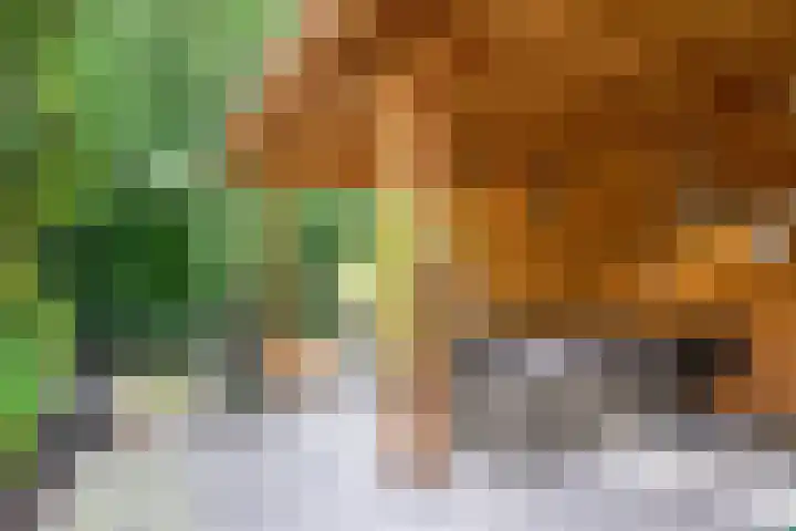 Kievitlaan 81 Schagen thumbnail 18