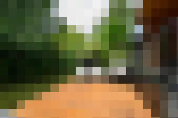 Kievitlaan 81 Schagen thumbnail 20
