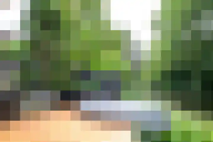 Kievitlaan 81 Schagen thumbnail 21