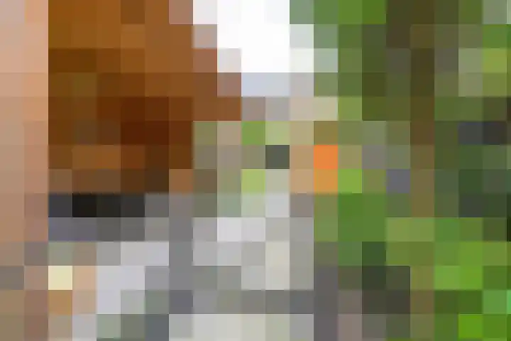 Kievitlaan 81 Schagen thumbnail 22