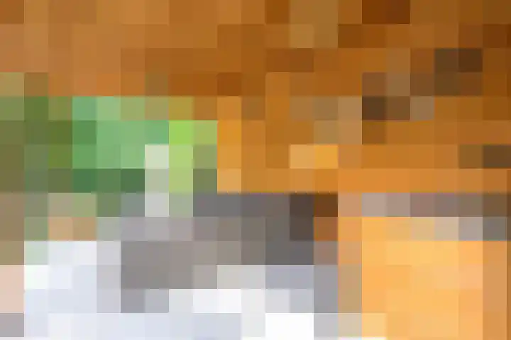 Kievitlaan 81 Schagen thumbnail 23