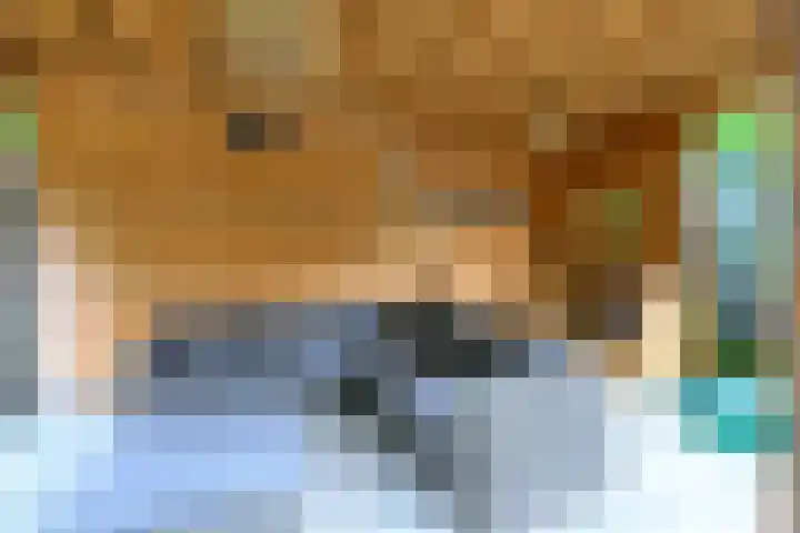 Kievitlaan 81 Schagen thumbnail 24