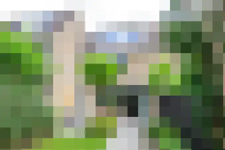 Kievitlaan 81 Schagen thumbnail 25