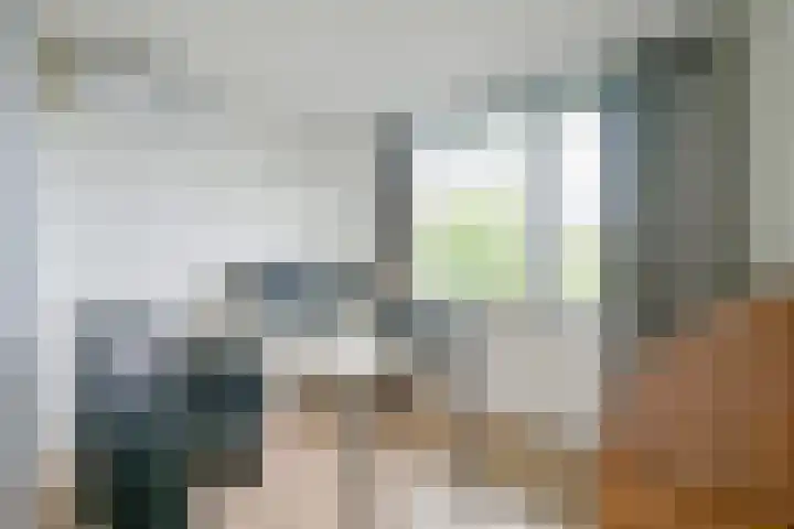 Kievitlaan 81 Schagen thumbnail 30