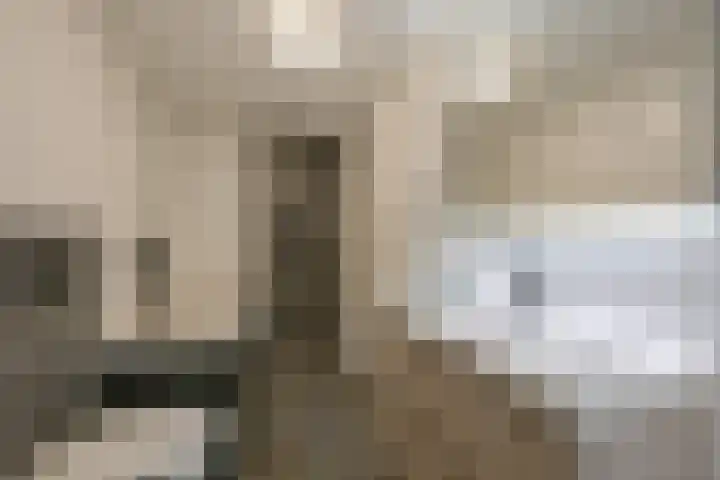 Kievitlaan 81 Schagen thumbnail 32