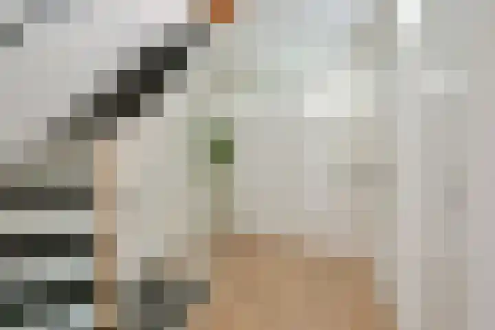 Kievitlaan 81 Schagen thumbnail 34