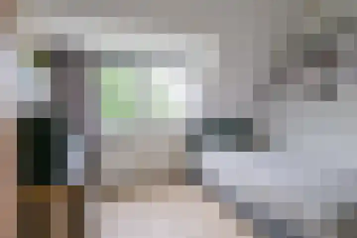 Kievitlaan 81 Schagen thumbnail 35