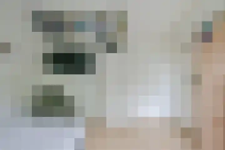 Kievitlaan 81 Schagen thumbnail 36