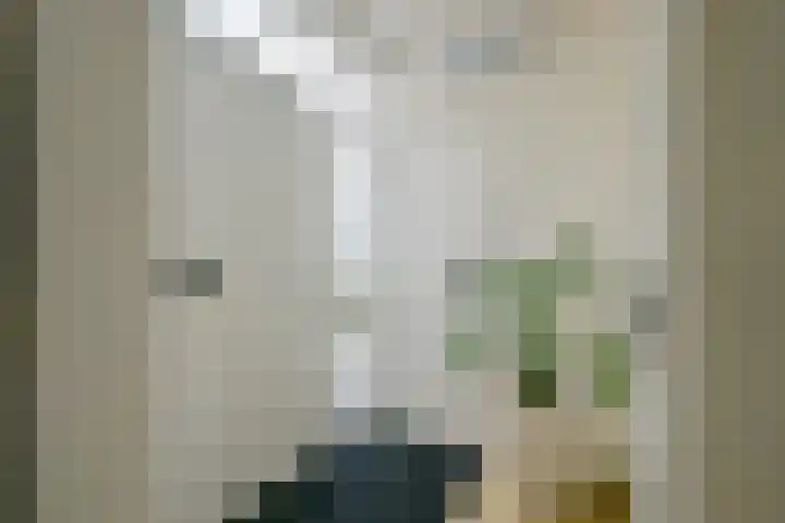 Kievitlaan 81 Schagen thumbnail 39
