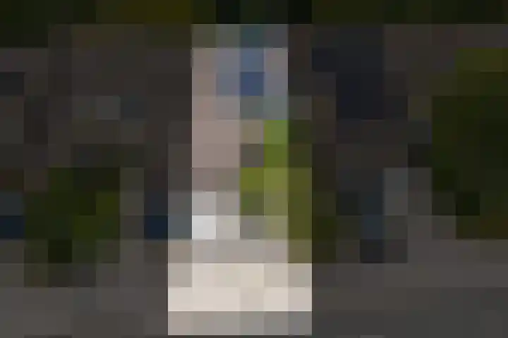 Kievitlaan 81 Schagen thumbnail 43