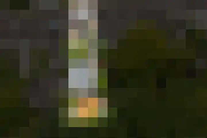 Kievitlaan 81 Schagen thumbnail 44