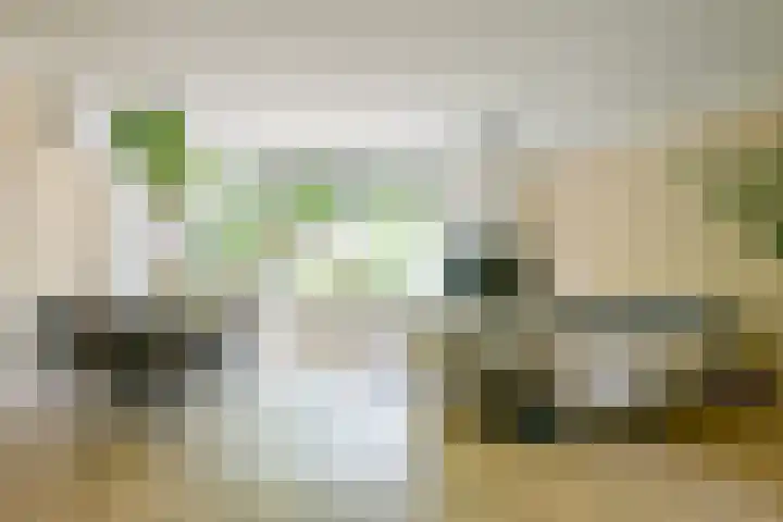 Kievitlaan 81 Schagen thumbnail 6