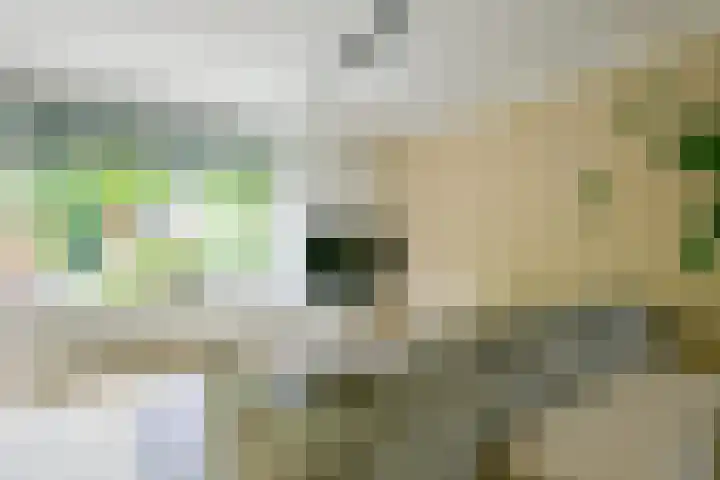 Kievitlaan 81 Schagen thumbnail 7