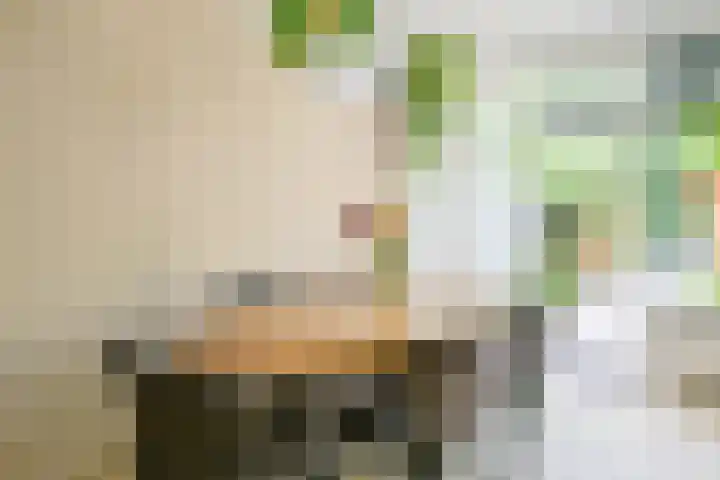 Kievitlaan 81 Schagen thumbnail 9