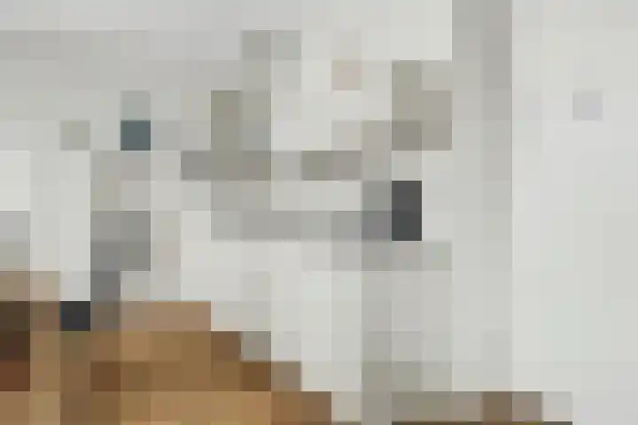 Kievitlaan 88 Goes thumbnail 15