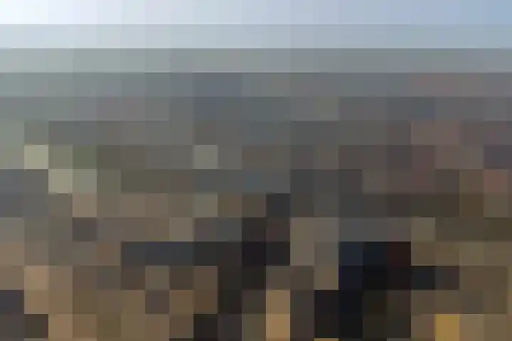 Kievitlaan 88 Goes thumbnail 29