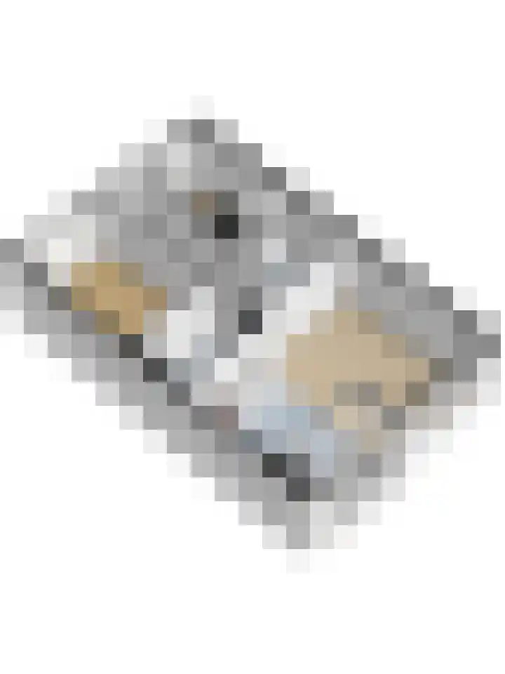 Kievitlaan 88 Goes thumbnail 31