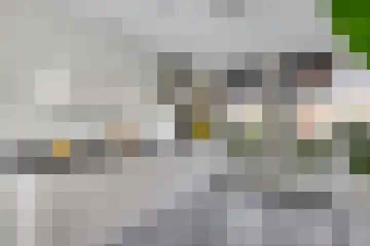 Kievitlande 35 Pijnacker thumbnail 17