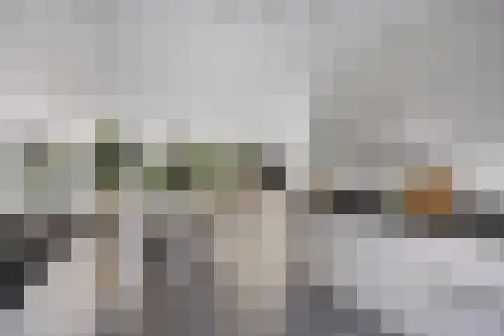 Kievitlande 35 Pijnacker thumbnail 18