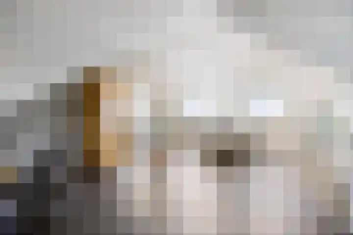 Kievitlande 35 Pijnacker thumbnail 32