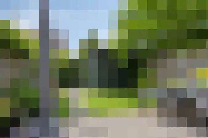 Kievitlande 35 Pijnacker thumbnail 34