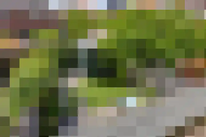 Kievitlande 35 Pijnacker thumbnail 38