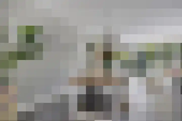 Kievitlande 35 Pijnacker thumbnail 4