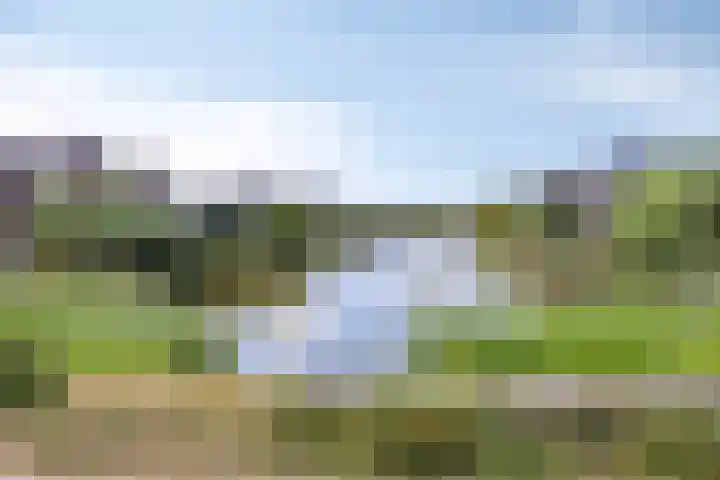 Kievitlande 35 Pijnacker thumbnail 5