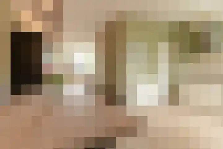 Kievitmeen 100 Harderwijk thumbnail 11