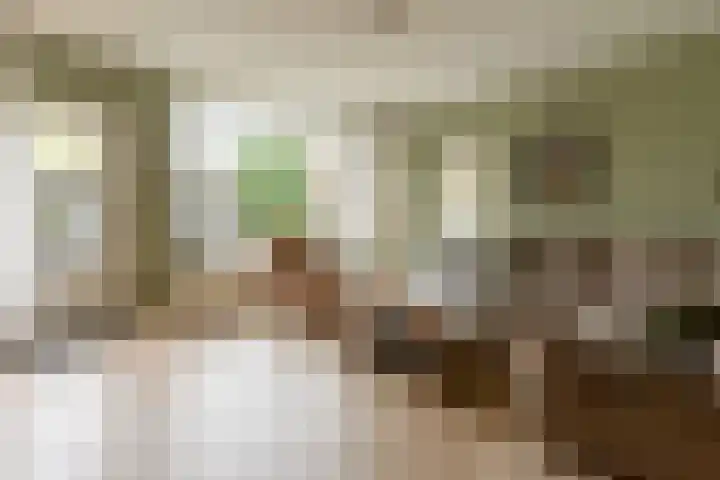 Kievitmeen 100 Harderwijk thumbnail 12