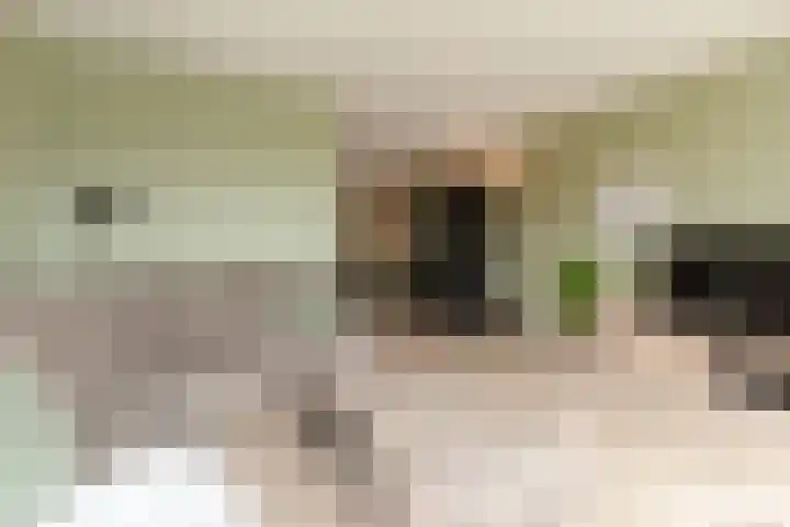Kievitmeen 100 Harderwijk thumbnail 13