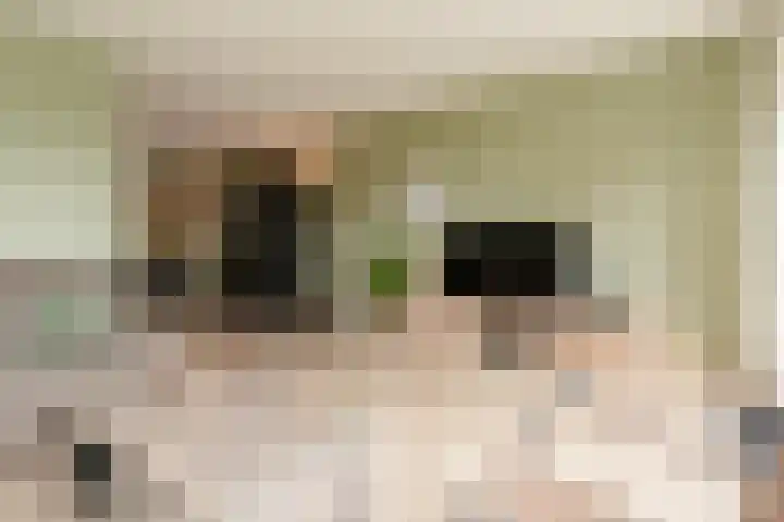 Kievitmeen 100 Harderwijk thumbnail 14