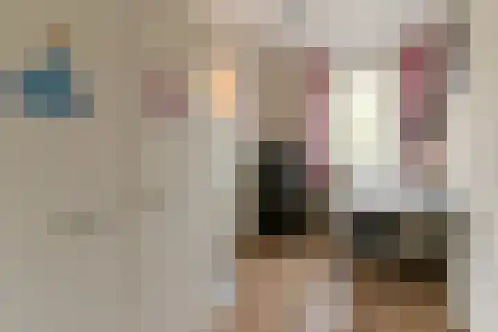Kievitmeen 100 Harderwijk thumbnail 17