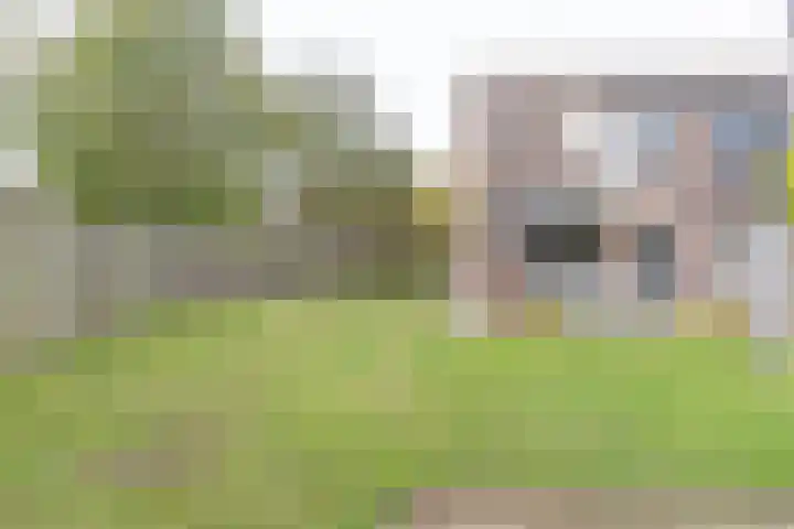 Kievitmeen 100 Harderwijk thumbnail 24